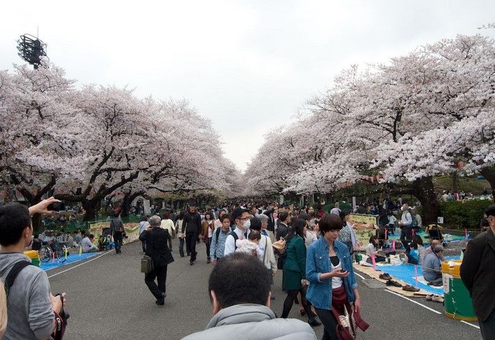 Tokyo - Landmarks & Architecture @ the biggest city in the world