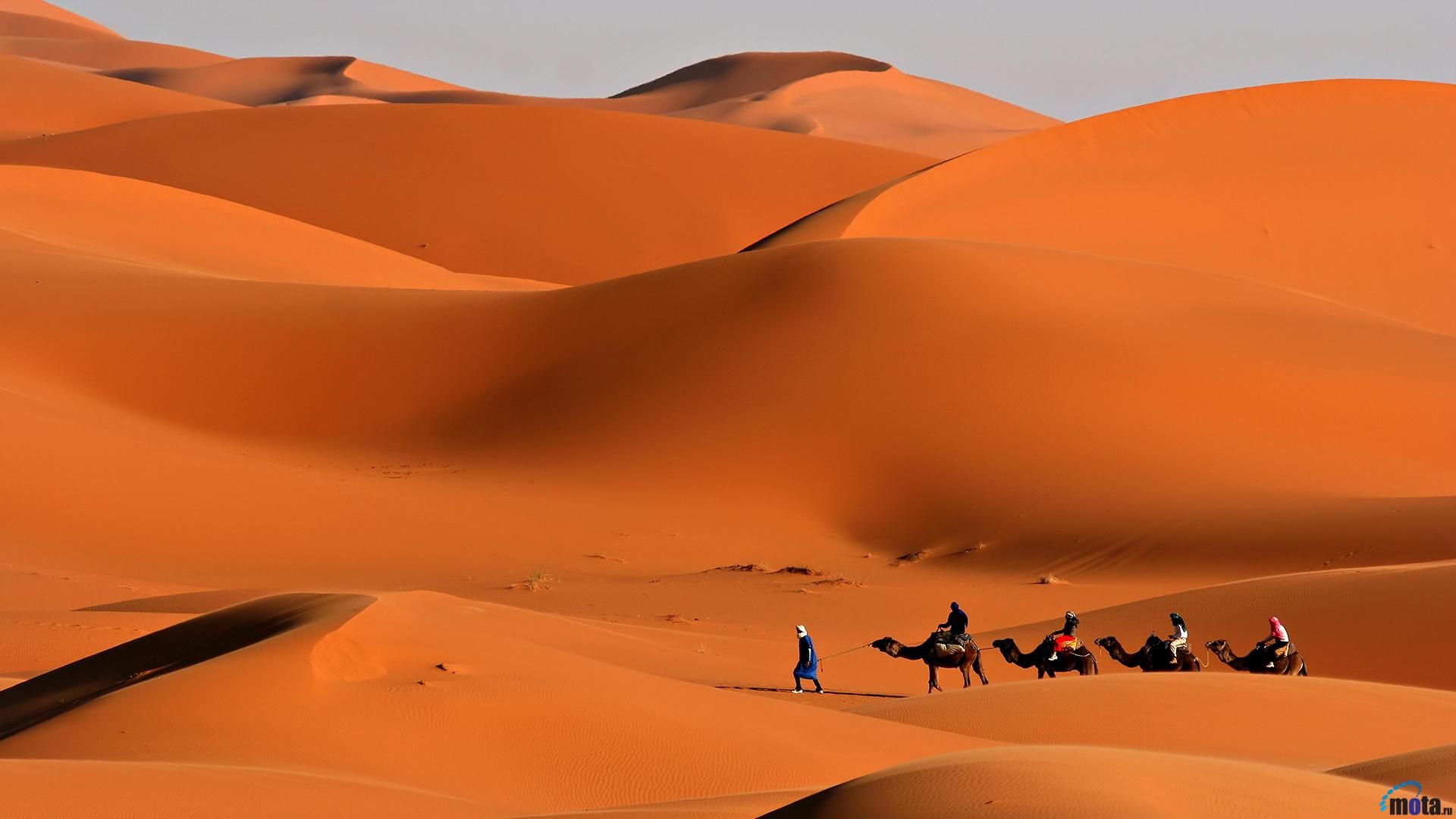 Egypt one of the mysterious country in the world!